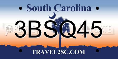 3BSQ45 South Carolina License Plate