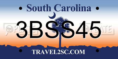 3BSS45 South Carolina License Plate