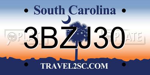 3BZJ30 South Carolina License Plate