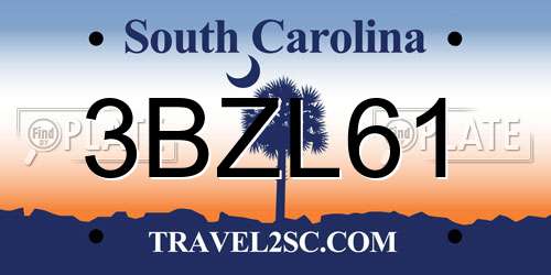 3BZL61 South Carolina License Plate