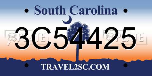 3C54425 South Carolina License Plate