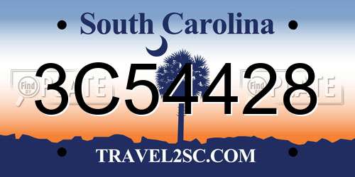 3C54428 South Carolina License Plate