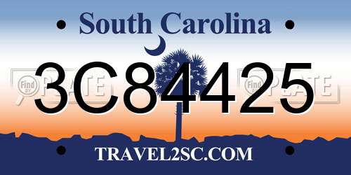 3C84425 South Carolina License Plate