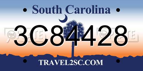 3C84428 South Carolina License Plate