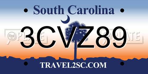 3CVZ89 South Carolina License Plate