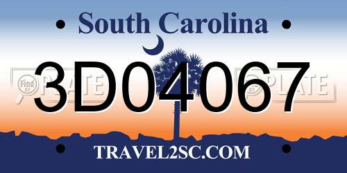 3D04067 South Carolina License Plate