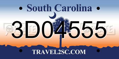 3D04555 South Carolina License Plate
