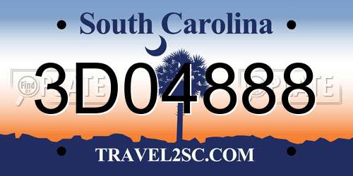 3D04888 South Carolina License Plate
