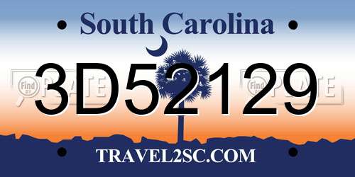 3D52129 South Carolina License Plate