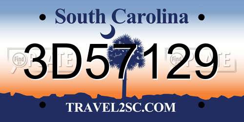 3D57129 South Carolina License Plate