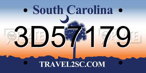 3D57179 South Carolina License Plate
