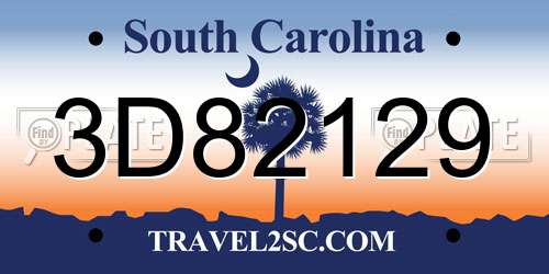 3D82129 South Carolina License Plate