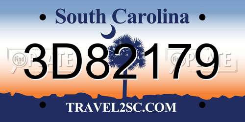3D82179 South Carolina License Plate