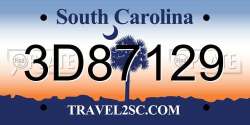3D87129 South Carolina License Plate