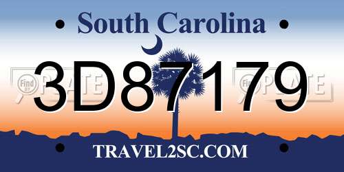 3D87179 South Carolina License Plate