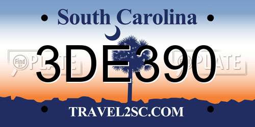 3DE390 South Carolina License Plate