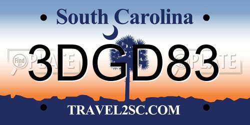 3DGD83 South Carolina License Plate