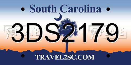 3DS2179 South Carolina License Plate