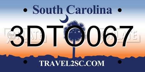 3DTO067 South Carolina License Plate