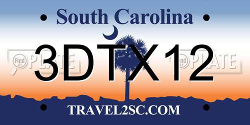 3DTX12 South Carolina License Plate