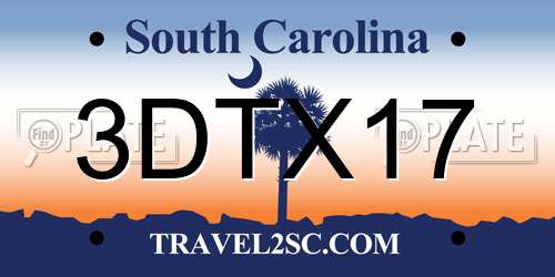 3DTX17 South Carolina License Plate
