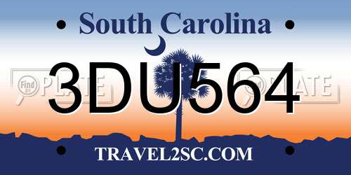 3DU564 South Carolina License Plate