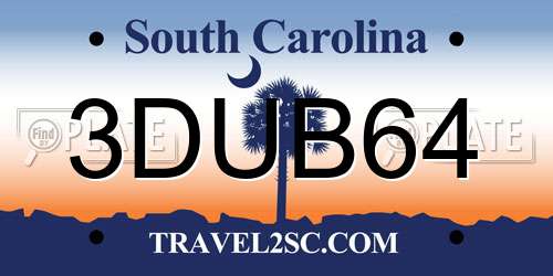 3DUB64 South Carolina License Plate
