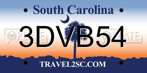 3DVB54 South Carolina License Plate