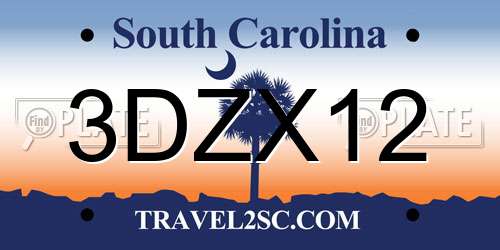 3DZX12 South Carolina License Plate