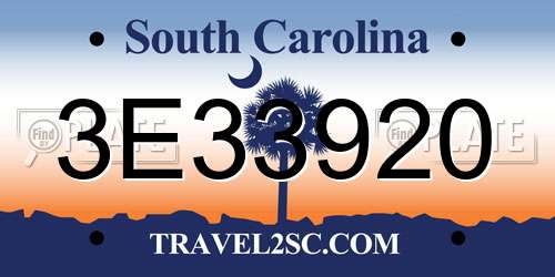 3E33920 South Carolina License Plate