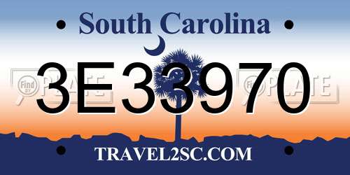 3E33970 South Carolina License Plate