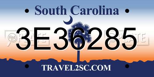 3E36285 South Carolina License Plate
