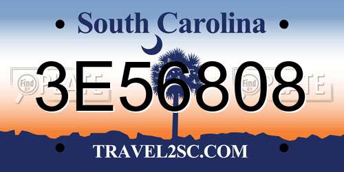 3E56808 South Carolina License Plate