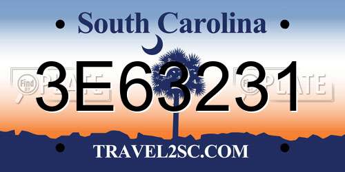 3E63231 South Carolina License Plate