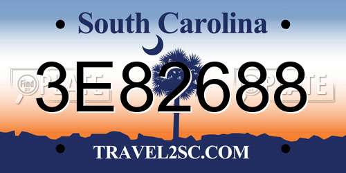 3E82688 South Carolina License Plate
