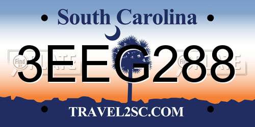 3EEG288 South Carolina License Plate