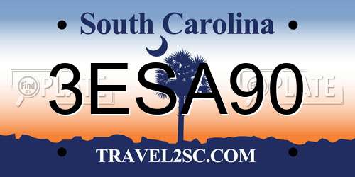 3ESA90 South Carolina License Plate