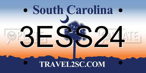3ESS24 South Carolina License Plate