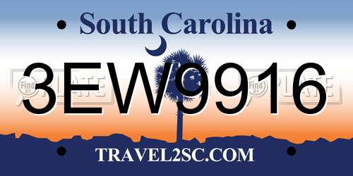 3EW9916 South Carolina License Plate