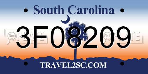 3F08209 South Carolina License Plate