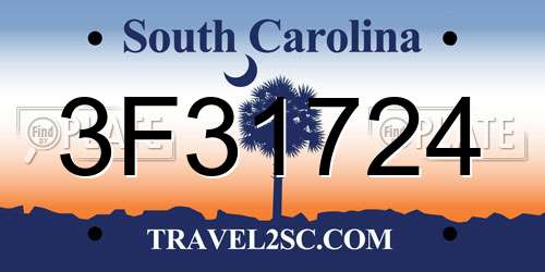 3F31724 South Carolina License Plate
