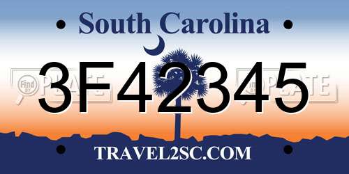 3F42345 South Carolina License Plate