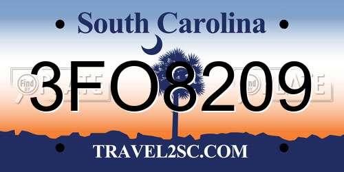 3FO8209 South Carolina License Plate