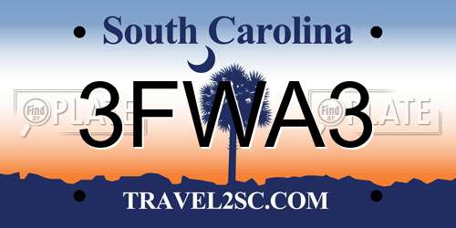 3FWA3 South Carolina License Plate