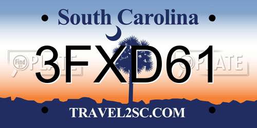 3FXD61 South Carolina License Plate