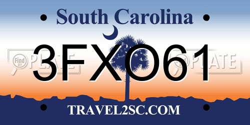 3FXO61 South Carolina License Plate