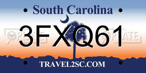 3FXQ61 South Carolina License Plate