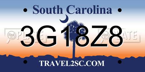3G18Z8 South Carolina License Plate
