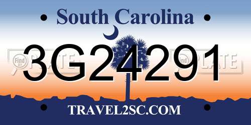 3G24291 South Carolina License Plate