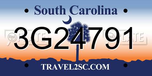 3G24791 South Carolina License Plate
